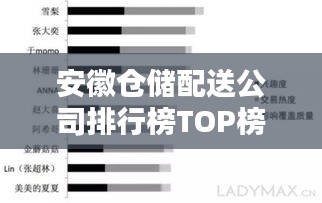 安徽倉儲(chǔ)配送公司排行榜TOP榜及行業(yè)影響力分析
