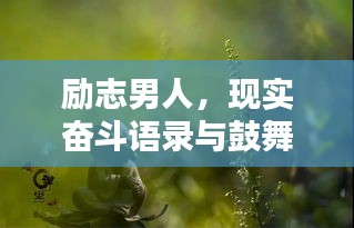 勵志男人，現(xiàn)實奮斗語錄與鼓舞人心圖片分享