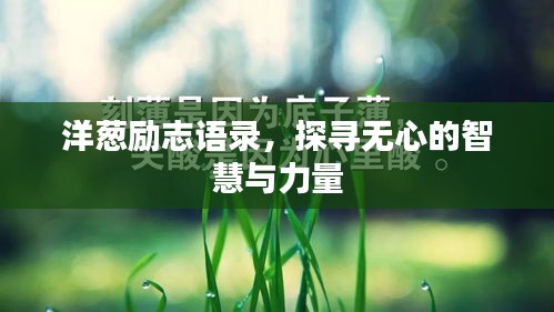 洋蔥勵志語錄，探尋無心的智慧與力量