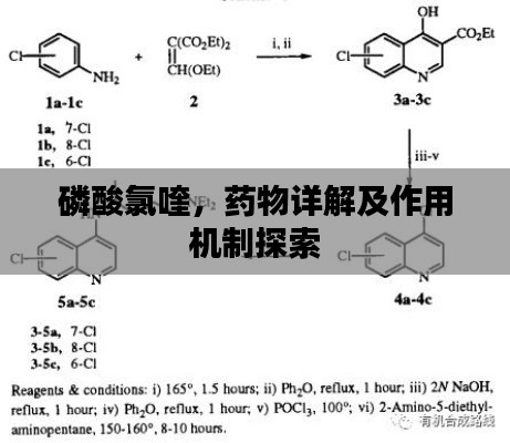 磷酸氯喹，藥物詳解及作用機(jī)制探索