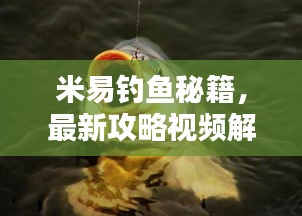米易釣魚秘籍，最新攻略視頻解析，讓你輕松釣上大魚！