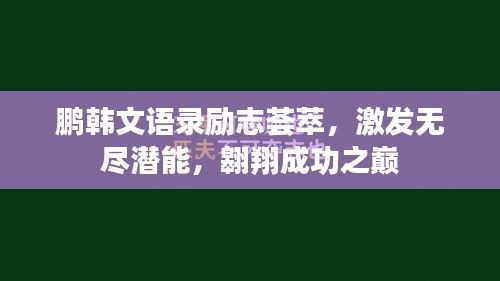 鵬韓文語錄勵志薈萃，激發(fā)無盡潛能，翱翔成功之巔