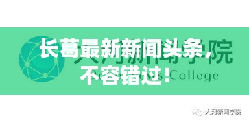 長葛最新新聞頭條，不容錯(cuò)過！