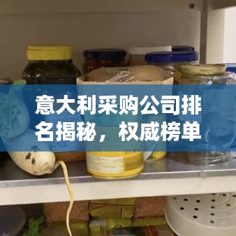 意大利采購(gòu)公司排名揭秘，權(quán)威榜單揭曉頂級(jí)企業(yè)榜單