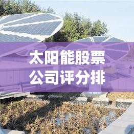 太陽能股票公司評分排名揭秘，綠色能源領(lǐng)域的領(lǐng)頭羊