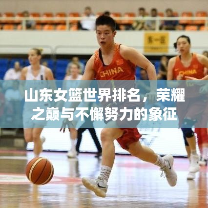 山東女籃世界排名，榮耀之巔與不懈努力的象征
