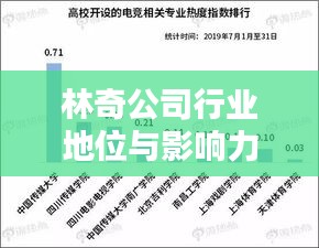 林奇公司行業(yè)地位與影響力解析，揭秘其在行業(yè)中的排名及深遠(yuǎn)影響