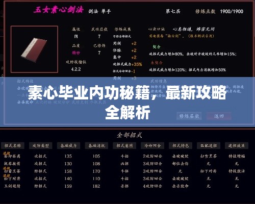 素心畢業(yè)內(nèi)功秘籍，最新攻略全解析