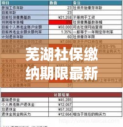蕪湖社保繳納期限最新規(guī)定解讀，你需要知道的最新繳納期限！