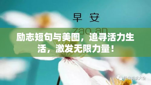 勵志短句與美圖，追尋活力生活，激發(fā)無限力量！