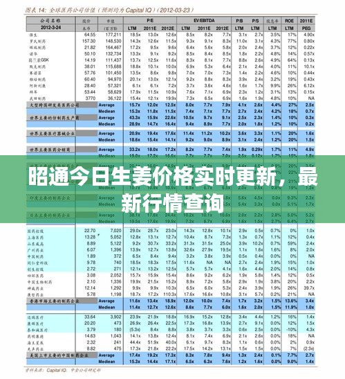 昭通今日生姜價格實時更新，最新行情查詢