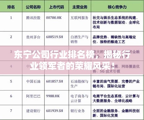 東寧公司行業(yè)排名榜，揭秘行業(yè)領軍者的榮耀風采！