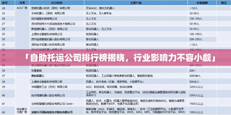 「自助托運公司排行榜揭曉，行業(yè)影響力不容小覷」