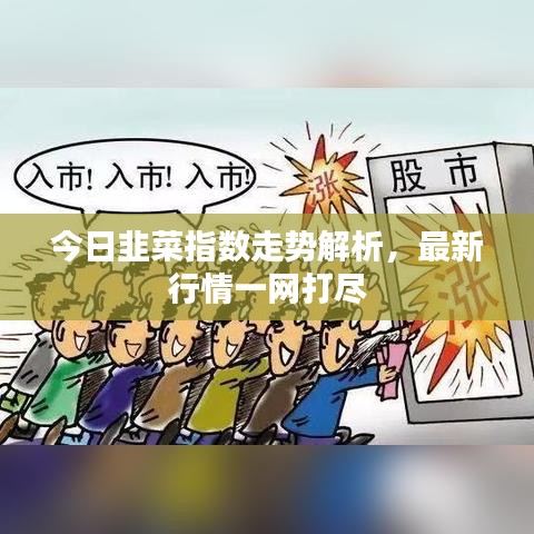 今日韭菜指數(shù)走勢解析，最新行情一網(wǎng)打盡