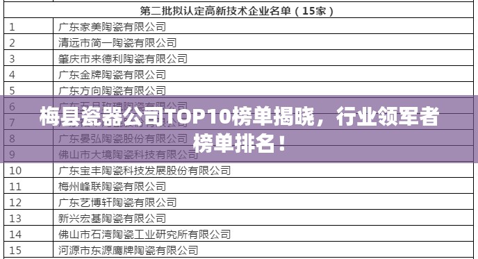 梅縣瓷器公司TOP10榜單揭曉，行業(yè)領(lǐng)軍者榜單排名！