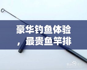 豪華釣魚體驗(yàn)，最貴魚竿排行榜前十名揭曉