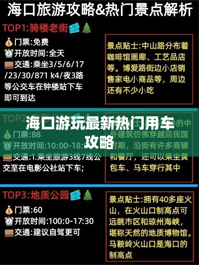 ?？谟瓮孀钚聼衢T(mén)用車(chē)攻略
