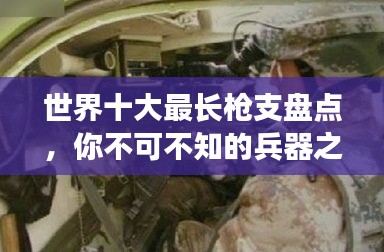世界十大最長槍支盤點(diǎn)，你不可不知的兵器之王排名！