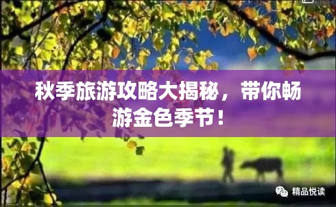 秋季旅游攻略大揭秘，帶你暢游金色季節(jié)！