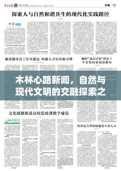 木林心路新聞，自然與現(xiàn)代文明的交融探索之路