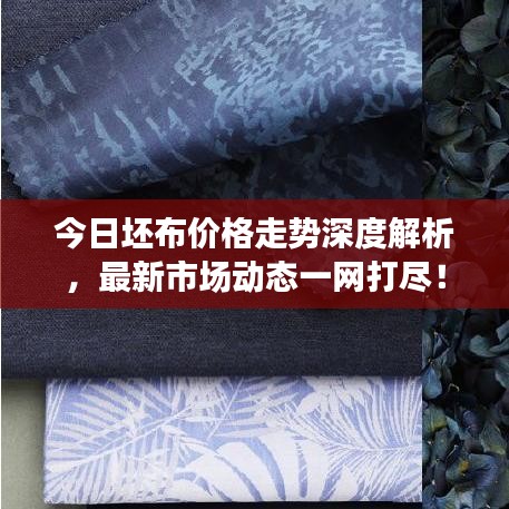 今日坯布價(jià)格走勢(shì)深度解析，最新市場(chǎng)動(dòng)態(tài)一網(wǎng)打盡！