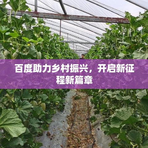 百度助力鄉(xiāng)村振興，開啟新征程新篇章