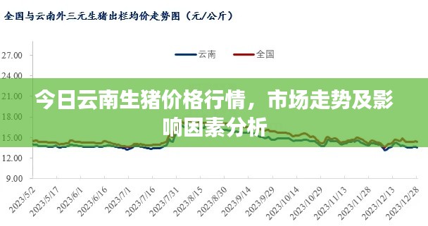 今日云南生豬價(jià)格行情，市場(chǎng)走勢(shì)及影響因素分析