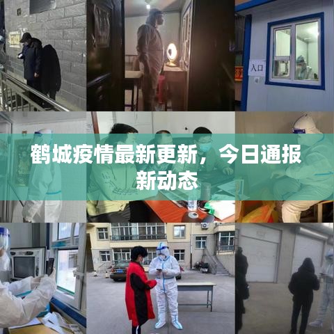 鶴城疫情最新更新，今日通報(bào)新動態(tài)