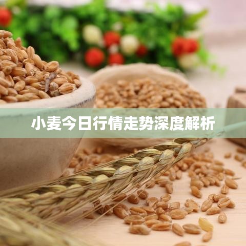螓首蛾眉 第2頁