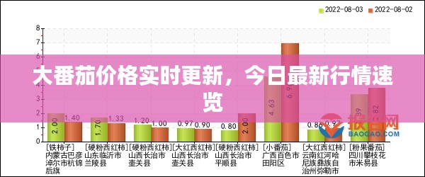 大番茄價(jià)格實(shí)時(shí)更新，今日最新行情速覽