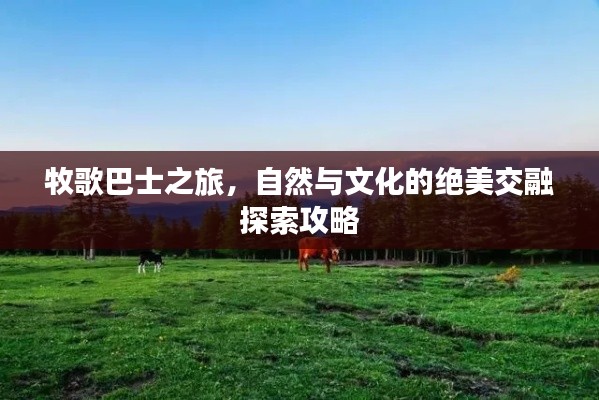 牧歌巴士之旅，自然與文化的絕美交融探索攻略