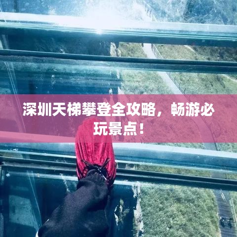 深圳天梯攀登全攻略，暢游必玩景點(diǎn)！