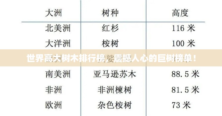 衣不完采 第2頁