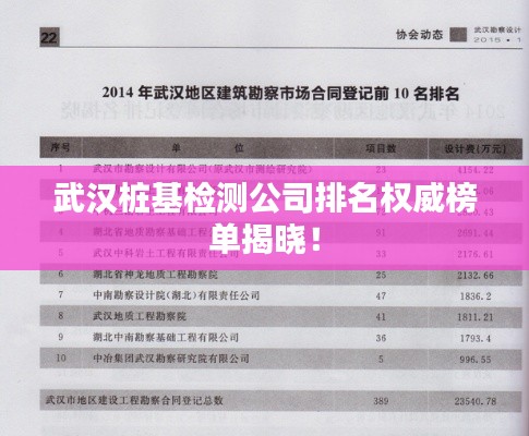 武漢樁基檢測公司排名權(quán)威榜單揭曉！