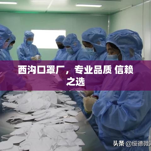 西溝口罩廠，專業(yè)品質(zhì) 信賴之選