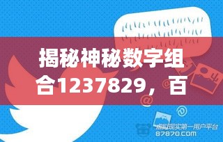 揭秘神秘?cái)?shù)字組合1237829，百度背后的故事探秘