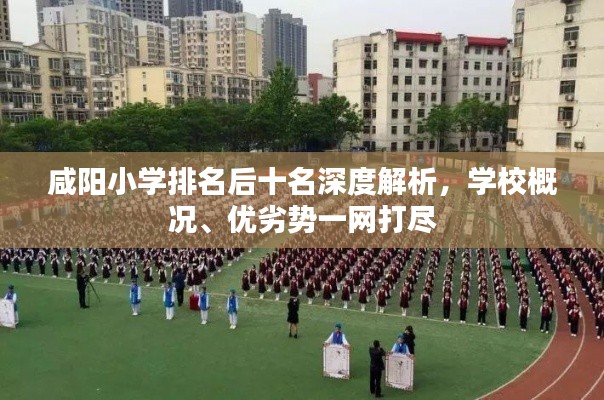 咸陽小學(xué)排名后十名深度解析，學(xué)校概況、優(yōu)劣勢一網(wǎng)打盡