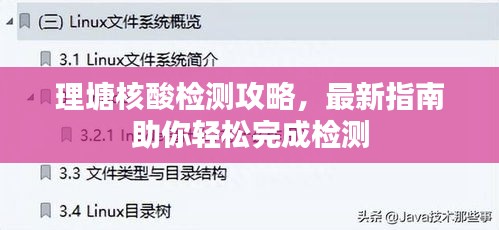 理塘核酸檢測(cè)攻略，最新指南助你輕松完成檢測(cè)
