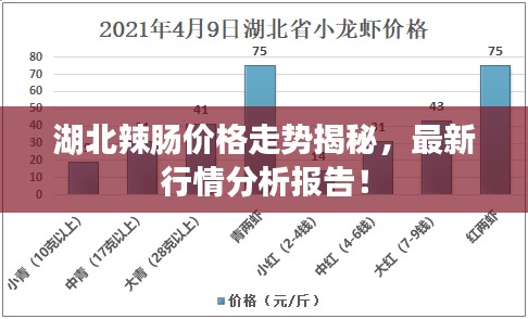 湖北辣腸價格走勢揭秘，最新行情分析報告！