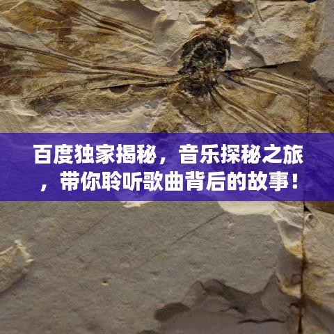 百度獨(dú)家揭秘，音樂(lè)探秘之旅，帶你聆聽(tīng)歌曲背后的故事！