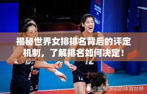 揭秘世界女排排名背后的評定機(jī)制，了解排名如何決定！