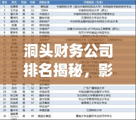 洞頭財務(wù)公司排名揭秘，影響力深度剖析