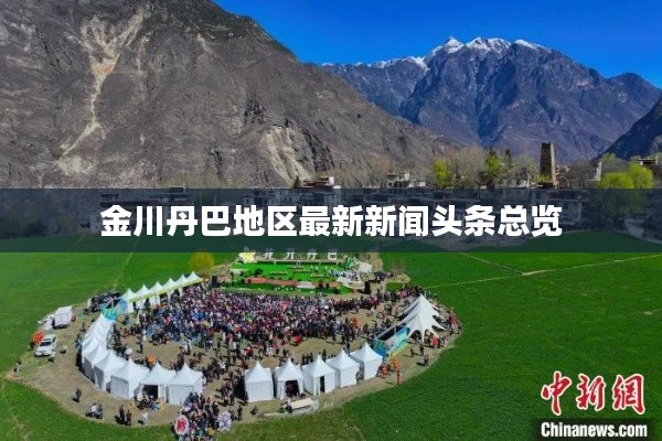 金川丹巴地區(qū)最新新聞?lì)^條總覽