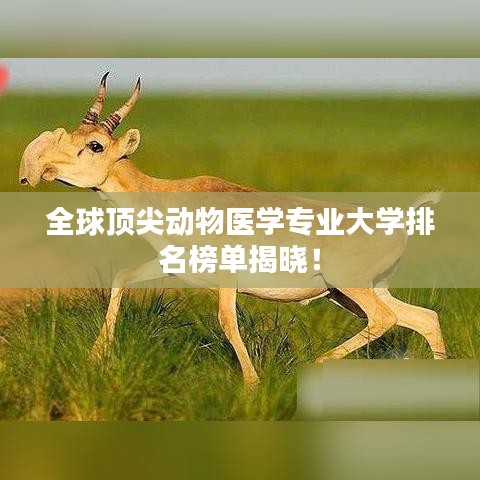 全球頂尖動物醫(yī)學專業(yè)大學排名榜單揭曉！