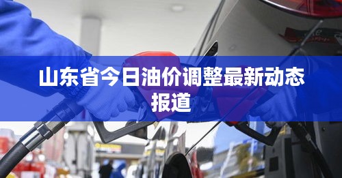 山東省今日油價調(diào)整最新動態(tài)報道