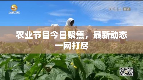 農(nóng)業(yè)節(jié)目今日聚焦，最新動(dòng)態(tài)一網(wǎng)打盡
