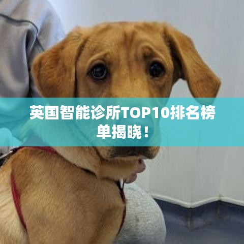 英國智能診所TOP10排名榜單揭曉！