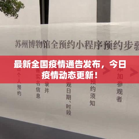 最新全國疫情通告發(fā)布，今日疫情動態(tài)更新！