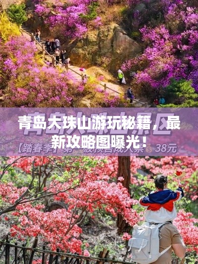 青島大珠山游玩秘籍，最新攻略圖曝光！