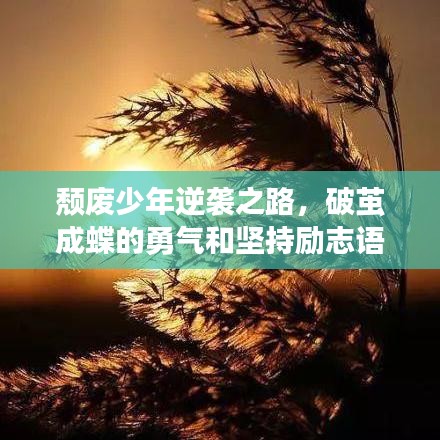 頹廢少年逆襲之路，破繭成蝶的勇氣和堅(jiān)持勵(lì)志語(yǔ)錄